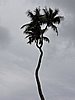 DSCN3326.JPG