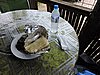DSCN3327.JPG