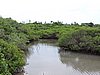 DSCN3330.JPG