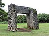 DSCN3336.JPG