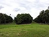 DSCN3339.JPG
