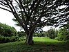 DSCN3342.JPG