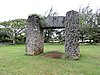 DSCN3343.JPG
