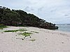 DSCN3357.JPG