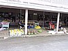 DSCN3362.JPG