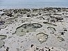DSCN3428.JPG