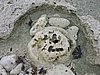 DSCN3429.JPG