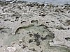 DSCN3431.JPG