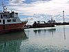 DSCN3436.JPG