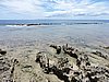 DSCN3467.JPG