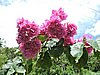 DSCN3473.JPG