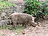 DSCN3476.JPG