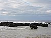 DSCN3481.JPG