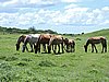 DSCN3490.JPG