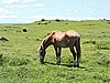 DSCN3491.JPG