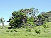 DSCN3494.JPG