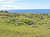 DSCN3497.JPG