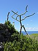 DSCN3498.JPG