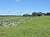 DSCN3499.JPG