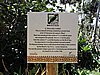 DSCN3507.JPG