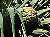 DSCN3512.JPG