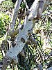 DSCN3513.JPG