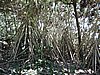 DSCN3514.JPG