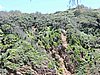 DSCN3515.JPG
