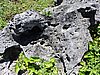 DSCN3520.JPG