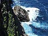 DSCN3524.JPG
