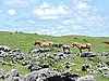 DSCN3527.JPG
