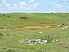 DSCN3528.JPG