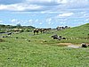 DSCN3529.JPG