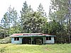 DSCN3533.JPG
