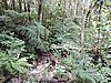 DSCN3537.JPG