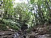 DSCN3538.JPG