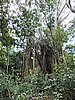 DSCN3539.JPG