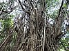 DSCN3541.JPG