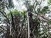 DSCN3542.JPG