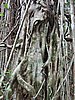 DSCN3543.JPG