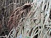 DSCN3544.JPG