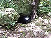 DSCN3551.JPG