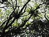 DSCN3552.JPG