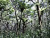 DSCN3553.JPG