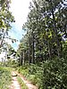 DSCN3555.JPG
