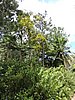 DSCN3556.JPG