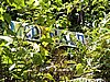 DSCN3558.JPG