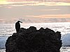 DSCN3561.JPG