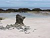 DSCN3577.JPG