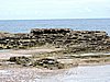 DSCN3578.JPG